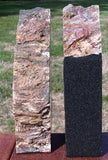 SiS: EXOTIC 9 lb. Red & Green Hampton Butte Petrified Wood Bookends!