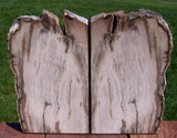 SiS: COOL, GLASSY & BEAUTIFUL 11 lb. Petrified Wood Bookends - Saddle Mtn. Wash.