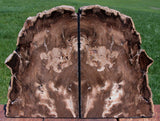 SiS: FANTASTIC 11 lb. Petrified Wood Bookend Set - McDermitt, OR - JUST AMAZING!