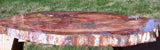 SiS: MAGNIFICENT 27" x 17" Petrified Wood Slab - PERFECT for Coffee Table Top!