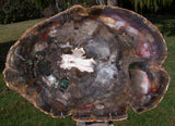 SiS: Unusually Dark 12"+ GREEN HEARTED Madagascar Petrified Wood Round - CHOICE!