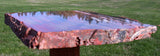 SiS: GLORIOUS 12" Arizona Rainbow Petrified Wood Slab - STUNNING RIP CUT PLANK!!