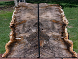SiS: Petrified Wood Bookends - STUNNING 7" Stinking Water Oak!