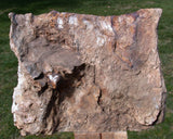 45508675