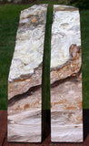 SiS: GLASSY FOSSIL CONIFER 10lb. Petrified Wood Bookends - Saddle Mtn. Wash.