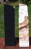 SiS: GLASSY FOSSIL CONIFER 10lb. Petrified Wood Bookends - Saddle Mtn. Wash.