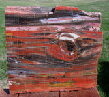 SiS: GLORIOUS 12" Arizona Rainbow Petrified Wood Slab - STUNNING RIP CUT PLANK!!