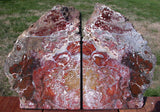 SiS: EXOTIC 9 lb. Red & Green Hampton Butte Petrified Wood Bookends!