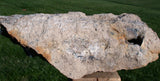 45509281