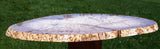 INCREDIBLE SPECKLED MASTERPIECE 14" Burmese Petrified Palm Wood Slab - Fossil Palmoxylon from Myanmar!