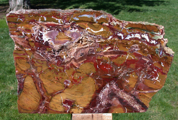 GORGEOUS RED & GOLD 11 lb. Marston Ranch Jasper Sculpture - Beautifully Polished Natural Stone!!
