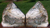 STUNNING NATURAL ART Petrified Wood Bookend Set - Gemmy Fossil Log with Greens!!!