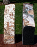 STUNNING NATURAL ART Petrified Wood Bookend Set - Gemmy Fossil Log with Greens!!!
