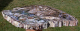 EXQUISITE COLOR 14" Madagascar Petrified Wood Round -  Crystals, Green & More!