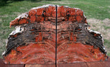 MASSIVE 26+ lb TIGER STRIPED Arizona Petrified Wood Bookend Set!!