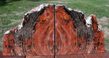 MASSIVE 26+ lb TIGER STRIPED Arizona Petrified Wood Bookend Set!!