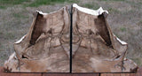 GLORIOUS NATURAL ART 8+ lb. Petrified Wood Bookends - Saddle Mtn. Wash.