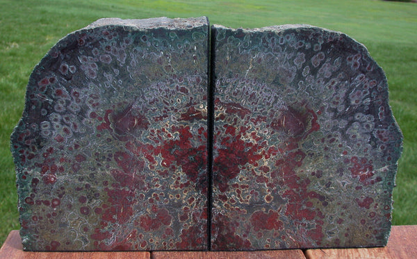 SiS: WILD & CRAZY 15 lb RED & GREEN Hampton Butte Oregon Petrified Wood Bookends
