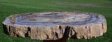 SiS: EXQUISITE 14" Madagascar Petrified Wood Round - PERFECT SLAB with GEODE!