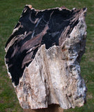 45508675