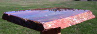 SiS: GLORIOUS 15" Arizona Rainbow Petrified Wood Slab - STUNNING RIP CUT PLANK!!