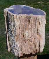 45664825
