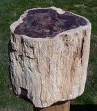 45664825