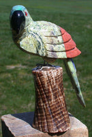SiS: Multi-color 5" PREMIUM Gemstone Parrot Carving - AMAZING & COLORFUL!