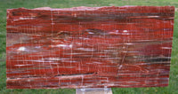 45508221