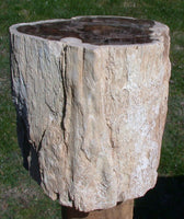 45664825