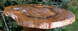 SiS: ULTRA-RARE 14" Petrified Wood Round from India FASCINATING SLAB - LAST ONE!