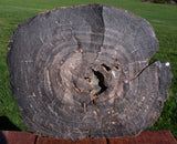 45323690
