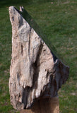 45508675