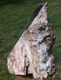 45508675