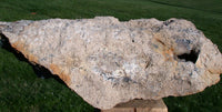 45509281