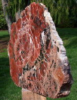 45508576