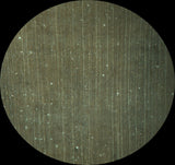 14&quot;+ Chinle BLACK FOREST Petrified Wood Round - Arizona Pullisilvaxylon!