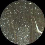 14&quot;+ Chinle BLACK FOREST Petrified Wood Round - Arizona Pullisilvaxylon!