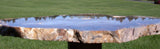 GOLD BLUE & KNOTTY 15&quot;+ Hubbard Basin Petrified Wood Round - Uncommonly Perfect Slab!