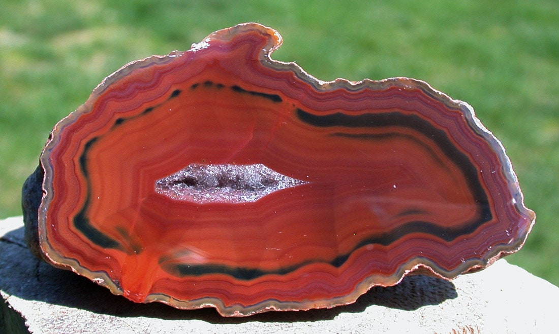 Condor Agate 34.24 ct. Fancy Cabochon 41.80 x 23.50 online x 5.30 mm y100174 Orange and Brown Gemstone Loose Gem Stone Cab Smooth