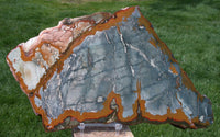 BEAUTIFUL 10"+ STORMY Rocky Butte Picture Jasper Slab - Mirror Polished!!