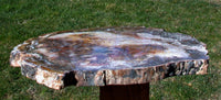 Natural Fossil Art in Stone - 13" Madagascar Petrified Wood Round - GORGEOUS COLORS!