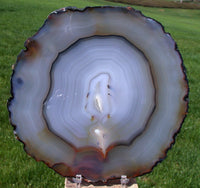 DAZZLING FLAWLESS 7" Collector Grade Agate Slab With Perfect Polish!