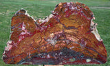 BRILLIANTLY COLORED Huge 18 lb. Marston Ranch Jasper Sculpture - Beautifully Polished Natural Stone!!