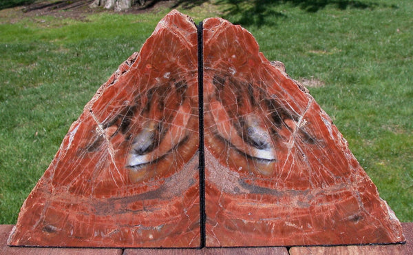555751
