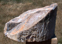 562188