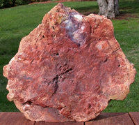 562187