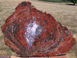 562147