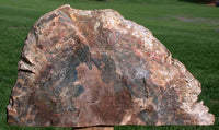 563078