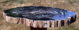 14&quot; Chinle BLACK FOREST Petrified Wood Round - Arizona Pullisilvaxylon!